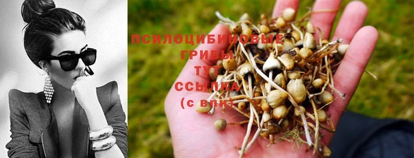 трава Алзамай