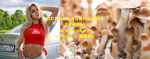 трава Алзамай